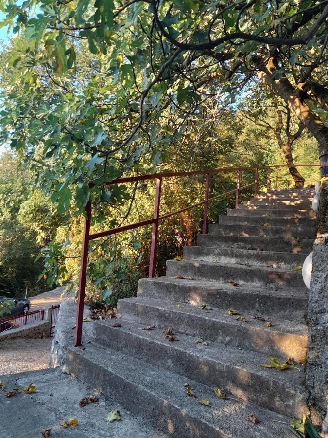 Apartmani Mia Rada Budva Exterior photo